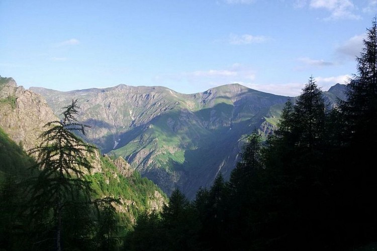 Le vallon de Combe Oursière