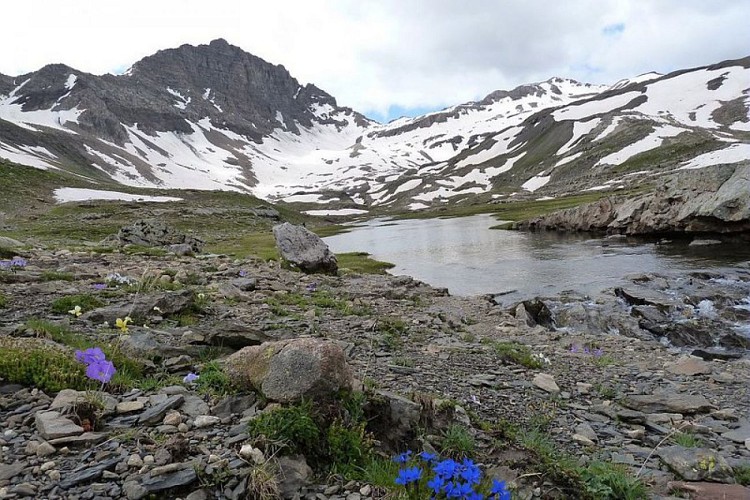 Le col des Terres Blanches, entre univers minéral et univers végétal
