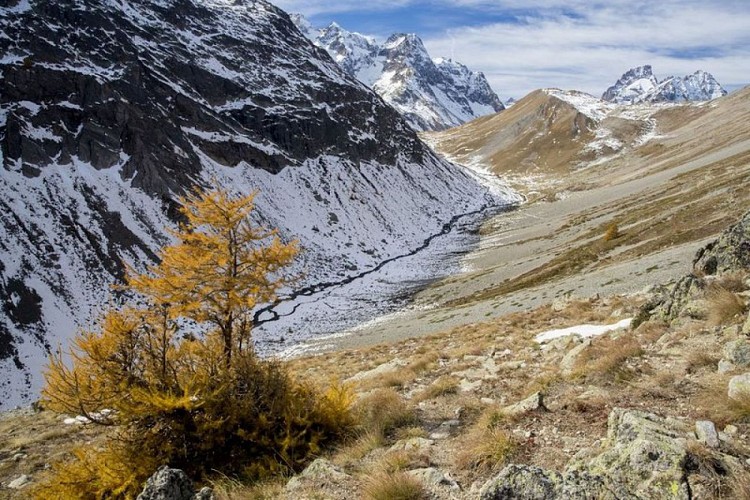 Montée jusqu'au lac de la douche dans la vallon du petit tabuc