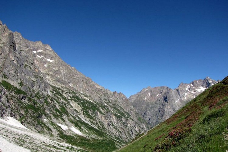 Rhodoraie dans le vallon de Font Turbat