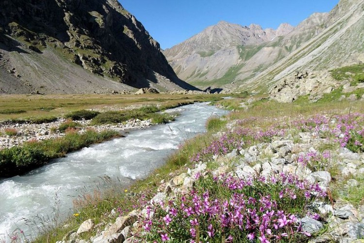 Valfourche - torrent de la Romanche