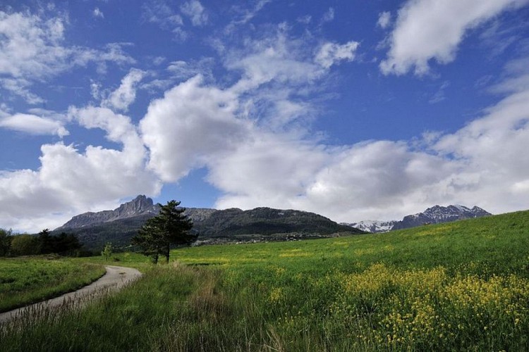 Les Aiguilles de Chabrières versant sud vues depuis le bas de Prunières