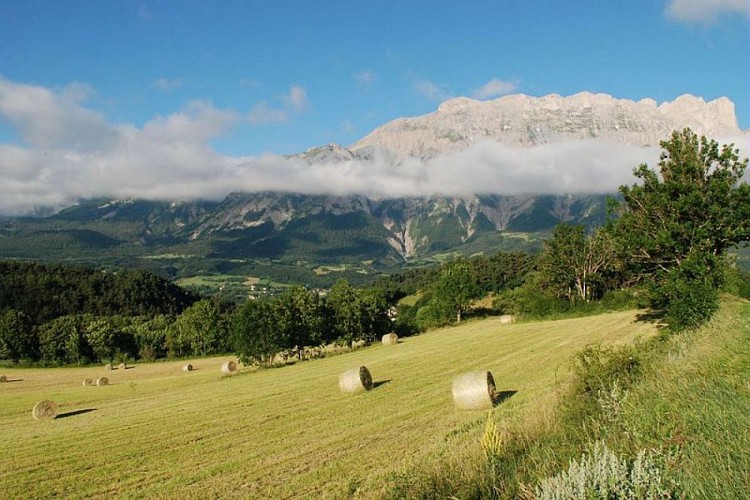 Champ fauché et balles rondes de foin à Beaurepaire