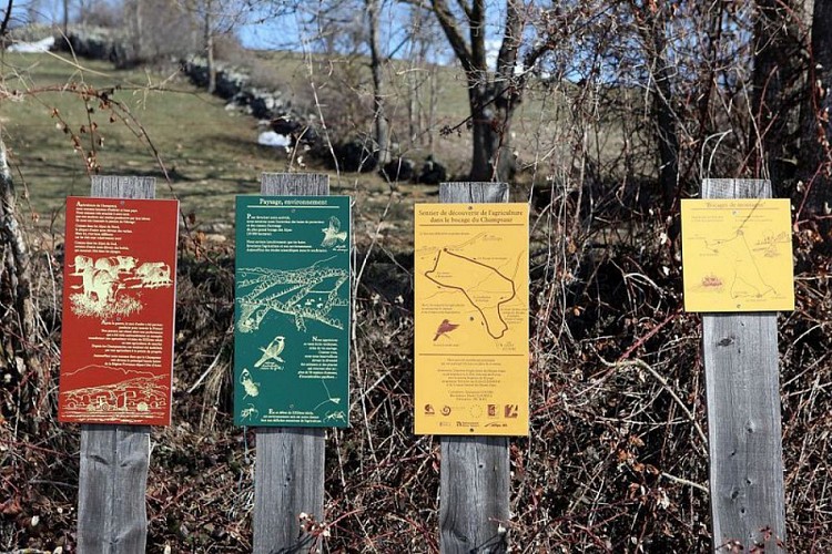 Sentier de découverte du Bocage