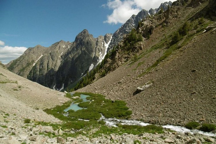 Torrent Le petit Tabuc