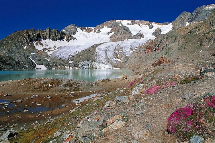 Le glacier des Quirlies