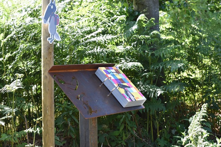 PromenadeDuLoup_BoisDeFays_Bertogne_A.Preser (4)