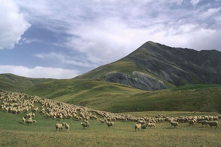 Le Pic du Mas de la Grave