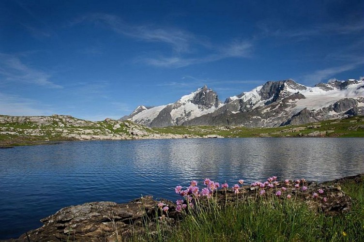 La Meije depuis le lac Noir