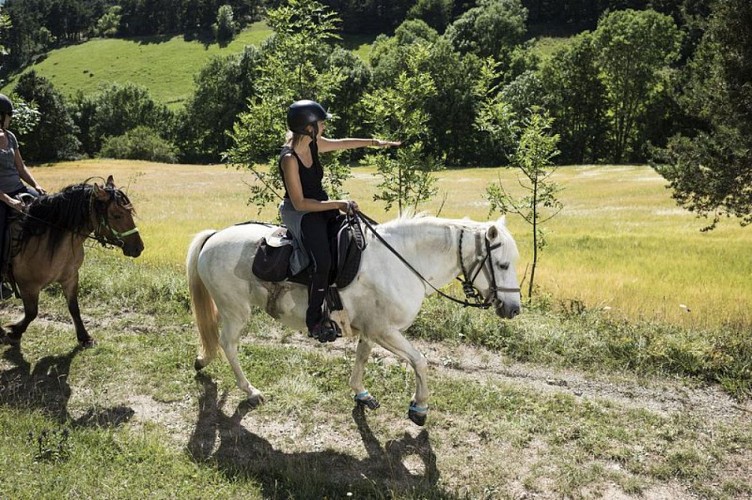 Randonneurs entre champs et forêts