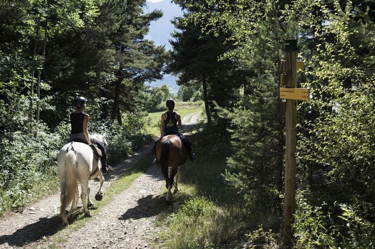Randonneur à cheval