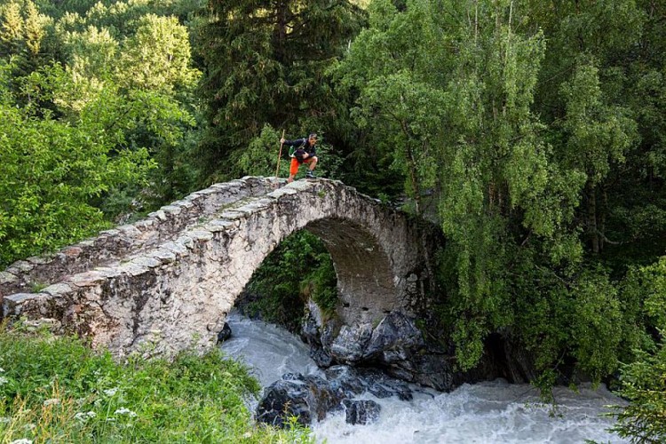 Pont des Rajas, sur le Vénéon