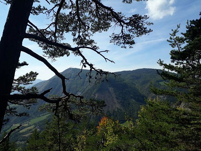 Vue sur le Mont Colombis