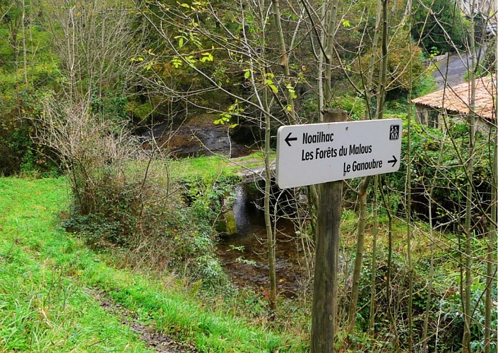 Randonnée pédestre : Boucle des Forêts du Malous 13,5km / 4h00