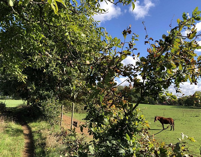 Vallée de la Demer près d'Aerschot - Val et Oli