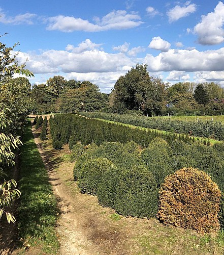 Vallée de la Demer près d'Aerschot - Val et Oli