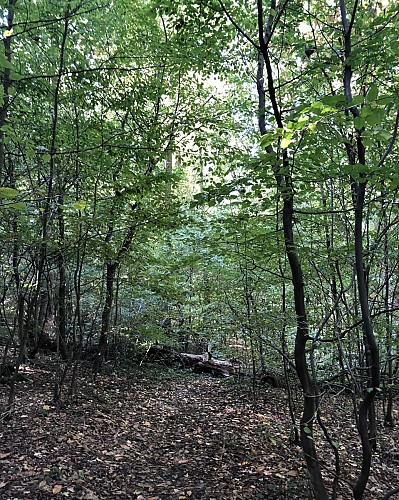 Vallée de la Demer près d'Aerschot - Val et Oli