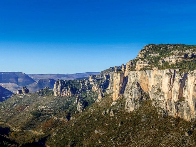 Falaises des Gorges de la Jonte