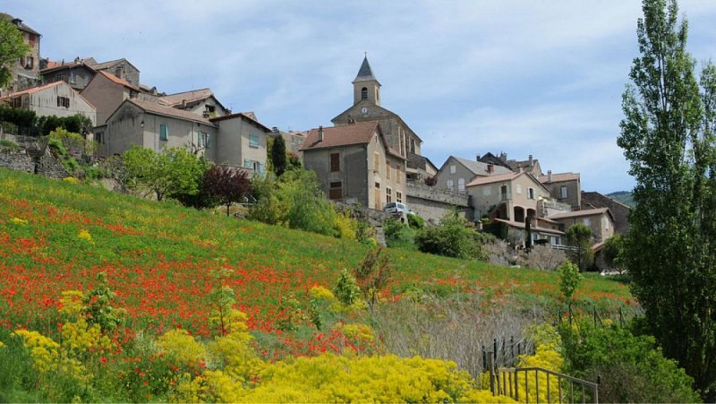 Cheminer au milieu des champs