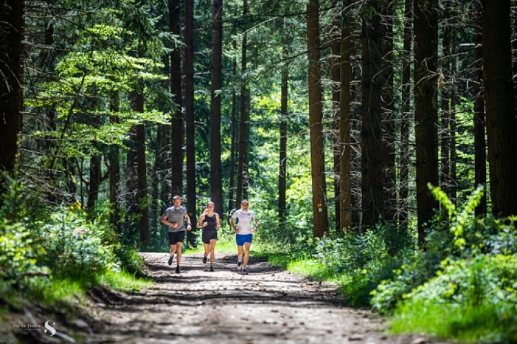 Spot Trail de La Bosse - De La Bouble aux Colettes