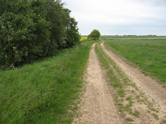 Circuit en Champagne Berrichonne "Chouday- Condé - Saint Aubin"