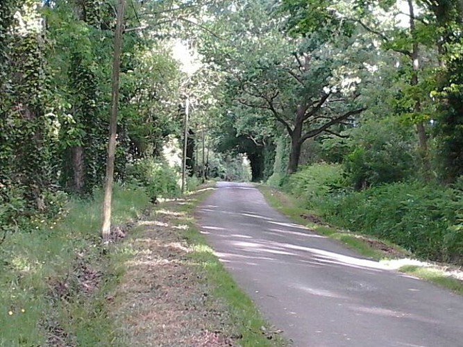 circuit dans le marais de l’île Chauvet et de Bois de Céné