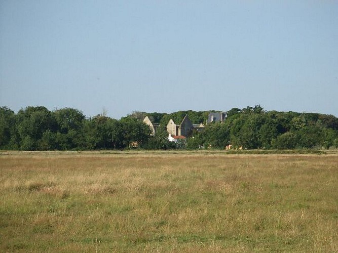 circuit dans le marais de l’île Chauvet et de Bois de Céné