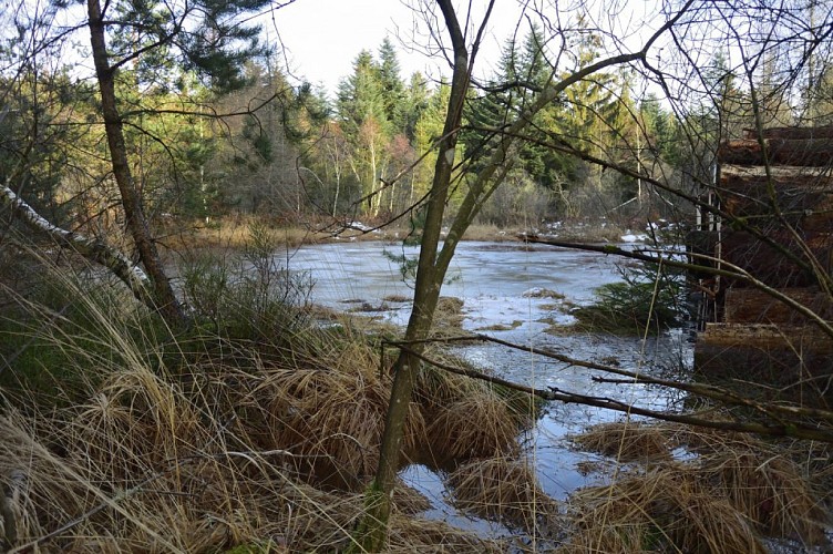 Circuit la Bormillière
