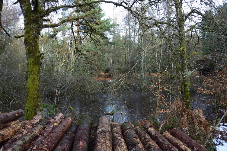 Circuit la Bormillière