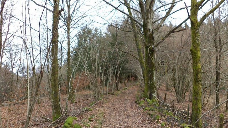 Circuit du Tour du Maillebourg