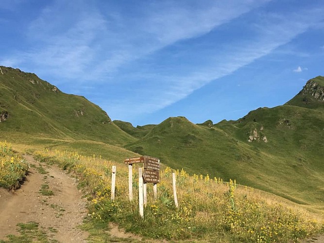 PLATEAU DE CAMPSAURE