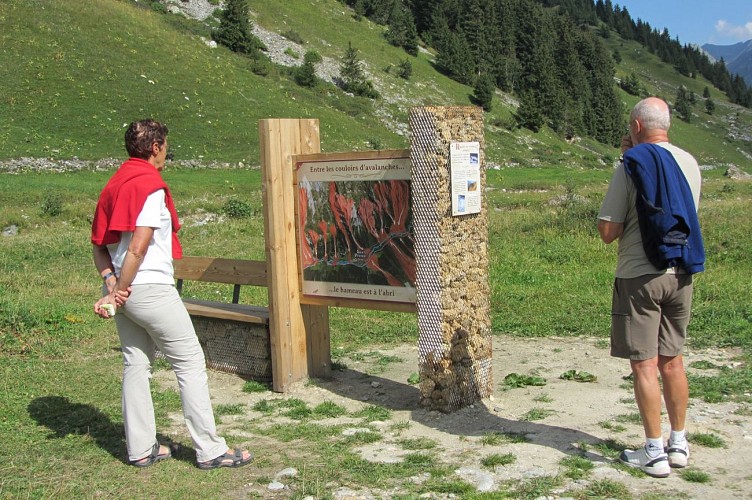 Savoyard discovery walk: Les Prioux