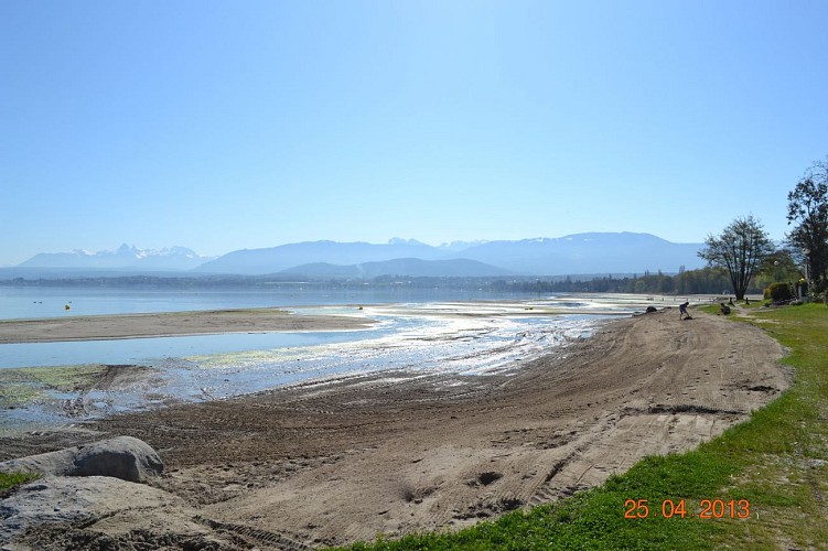 Sentier d'interprétation "Les richesses du littoral lémanique"