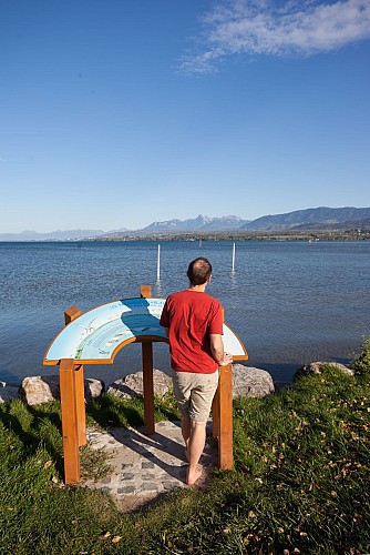 Interpretation path along the banks of lake Geneva
