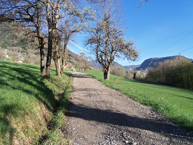 Marignier Sentier