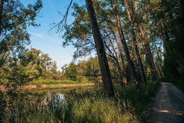 Léman Mont Blanc : from Bonneville to Nangy walking trail