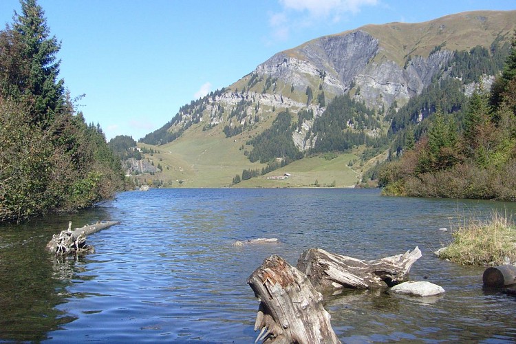 Easy-going walk: Saint Guérin lake and dam