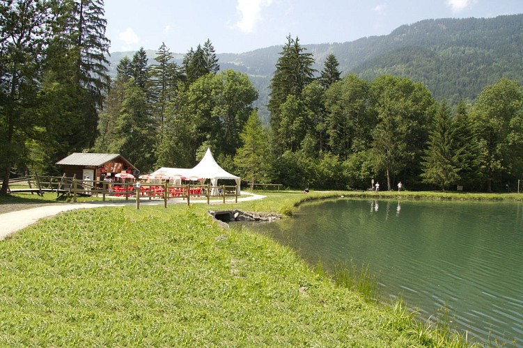 Comfort wandeling: Etang de Marcôt