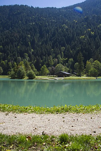 Comfort wandeling: Etang de Marcôt