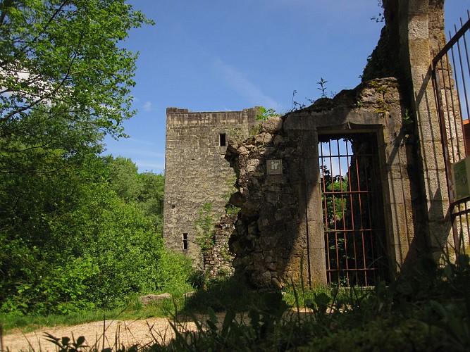 Easy-going walk: Château Thomas II