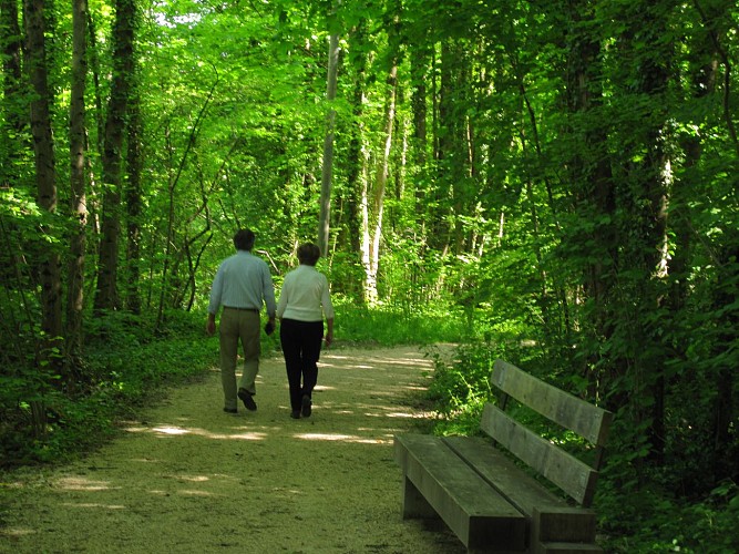 Easy-going walk: Château Thomas II