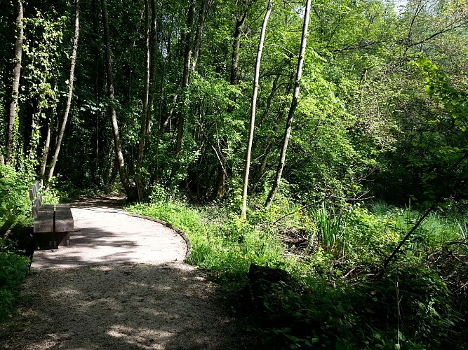 Cheminement dans les marais