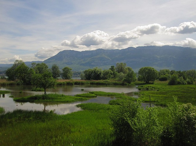 Etang des Aigrettes vue de l'observatoire