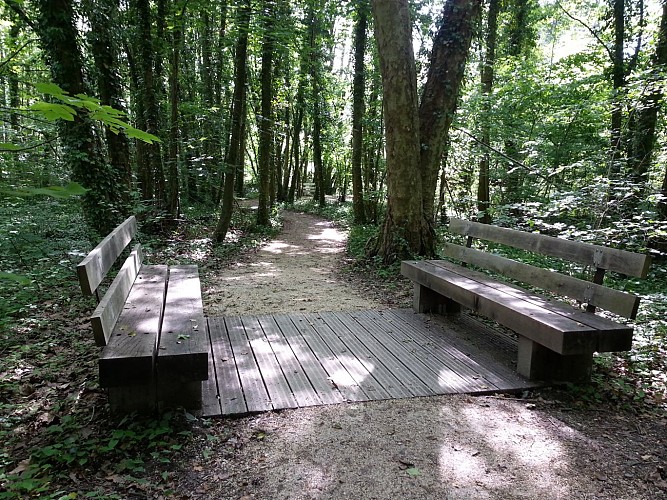 Comfort wandeling: Château Thomas II