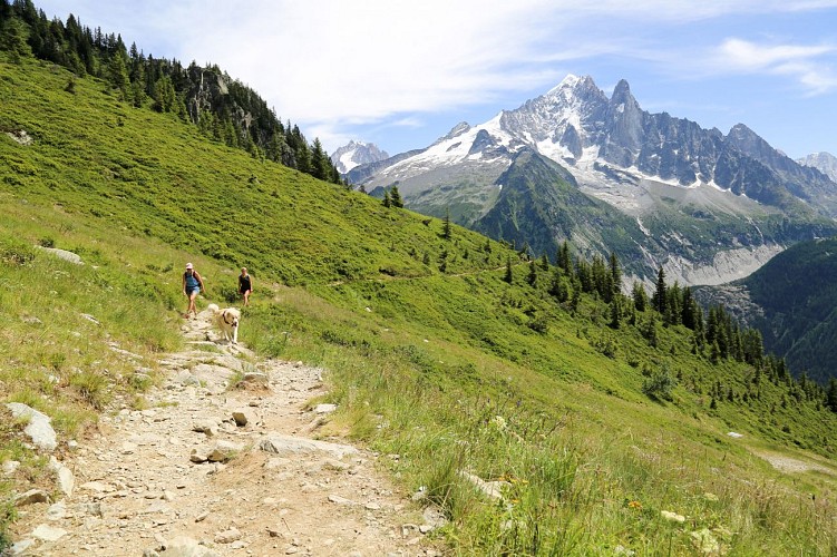 Großer Südbalcon: Flégère - Planpraz