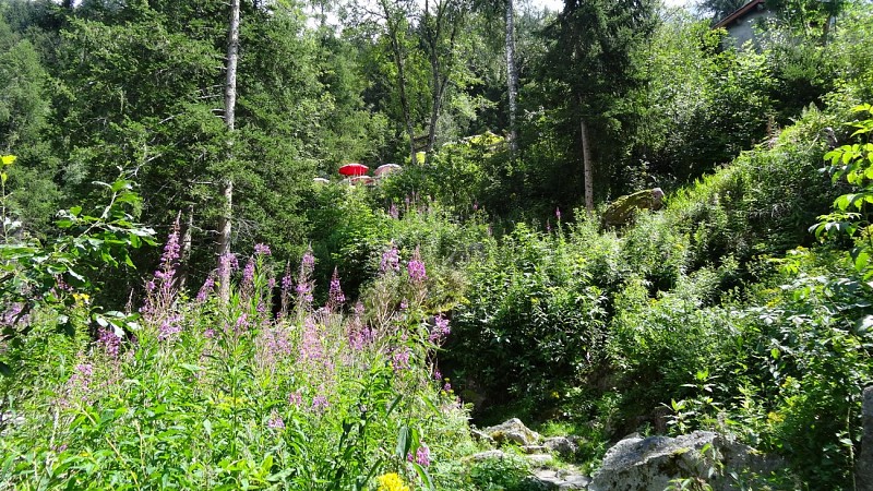 Hike to Le Dard waterfall