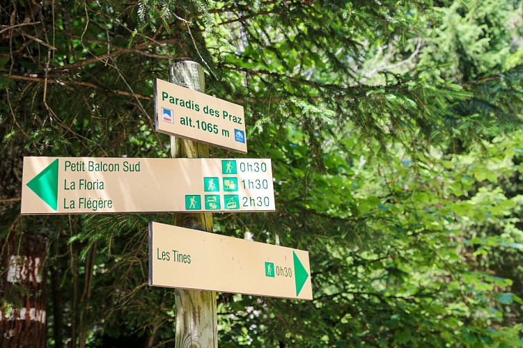 Hike to Paradis des Praz