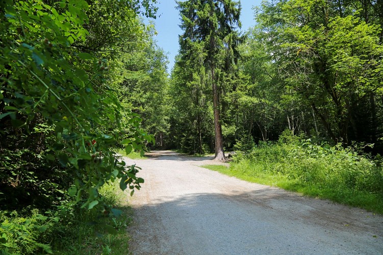 Balade Paradis des Praz