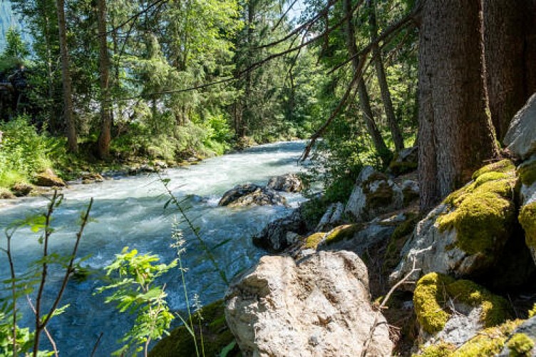 Petit Balcon sud :  Argentière- Les Tines_Argentière