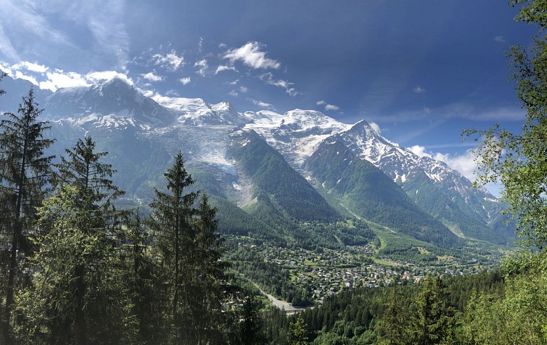 Hike along the Petit Balcon Sud: Les Tines-Les Bossons